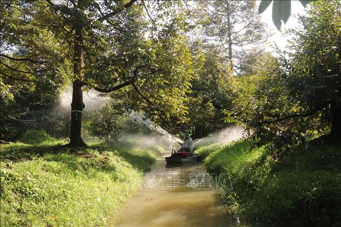 Nâng cao ý thức sử dụng nước tiết kiệm trong cộng đồng và thường xuyên cập nhật thông tin dự báo để người dân chủ động ứng phó. Ảnh: Thu Hiền - TTXVN