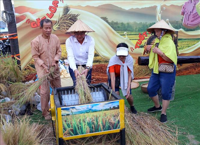 Người dân, du khách trải nghiệm hoạt động tranh tài làm nông dân. Ảnh: Trần Lê Lâm - TTXVN 