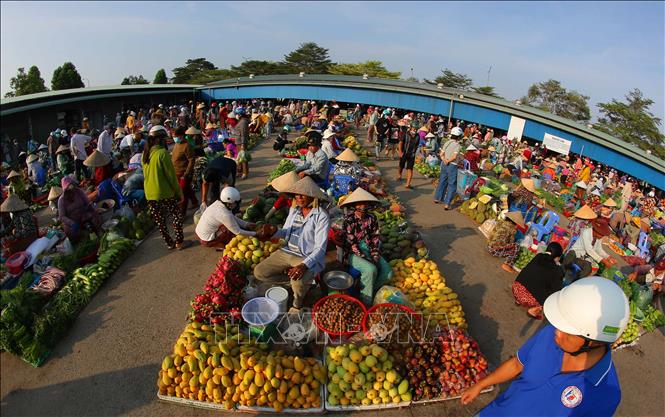 Toàn cảnh khu chợ. Ảnh: Duy Khương – TTXVN