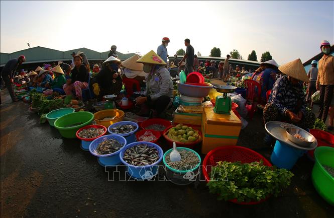 Rau vườn, trái cây là cây nhà, cá là bắt dưới mương lên còn tươi xanh. Ảnh: Duy Khương – TTXVN