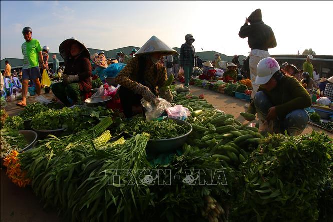 Các mặt hàng nông sản tươi xanh tại khu chợ. Ảnh: Duy Khương – TTXVN
