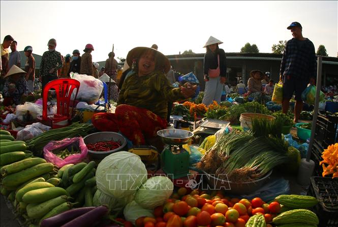 Các mặt hàng nông sản tươi xanh tại khu chợ. Ảnh: Duy Khương – TTXVN