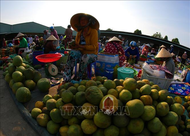 Các mặt hàng nông sản tươi xanh tại khu chợ. Ảnh: Duy Khương – TTXVN
