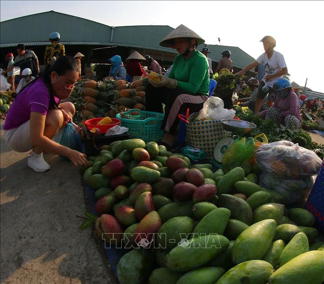 Các mặt hàng nông sản tươi xanh tại khu chợ. Ảnh: Duy Khương – TTXVN