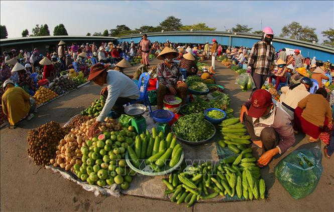 Không bàn ghế, không sạp, mỗi người một rổ, một bạt đặt ngay dưới đất. Ảnh: Duy Khương – TTXVN