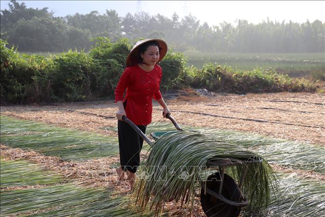 Chị Nguyễn Vũ Cẩm Ngân, ngụ xã Hậu Nghĩa trải nghiệm hoạt động nghề truyền thống. Ảnh: Đức Hạnh - TTXVN