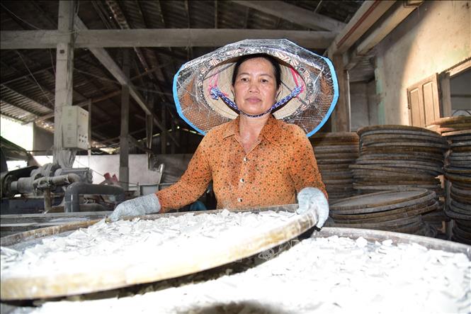 Chị Huỳnh Thị Hồng Nga hứng bột vào nia, dàn đều rồi đem phơi nắng. Ảnh: Đức Hạnh - TTXVN
