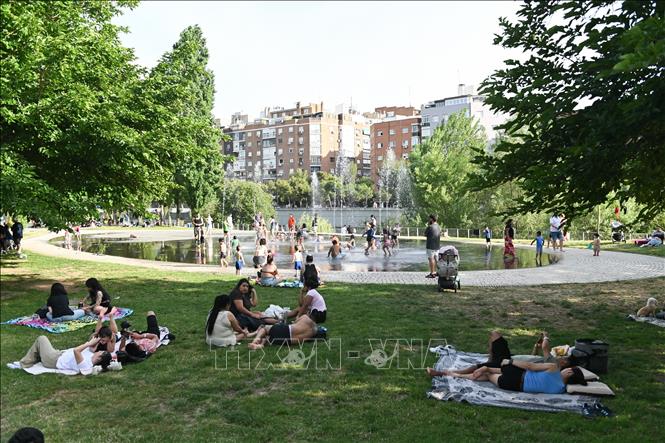Người dân làm mát tại đài phun nước và tránh trú dưới bóng cây khi nắng nóng gay gắt bao trùm Madrid, Tây Ban Nha ngày 24/5/2026. Ảnh: THX/TTXVN