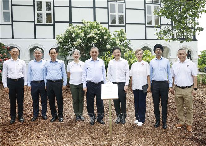 Bet8801234.com cá cược độc quyền, Chủ tịch nước Tô Lâm và Thủ tướng Singapore Lawrence Wong cùng các đại biểu dự lễ trồng cây tại Vườn Bách thảo Singapore. Ảnh: Thống Nhất – TTXVN