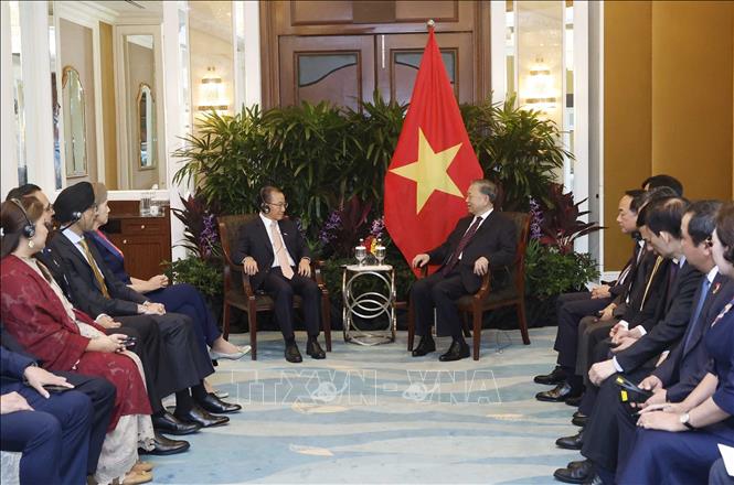 Party General Secretary and State President To Lam meets with Speaker of Parliament of Singapore Seah Kian Peng. VNA Photo: Thống Nhất 