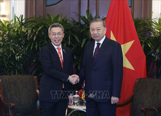 Party General Secretary and State President To Lam receives Chief Executive Officer of CapitaLand Development Jonathan Yap. VNA Photo: Thống Nhất  