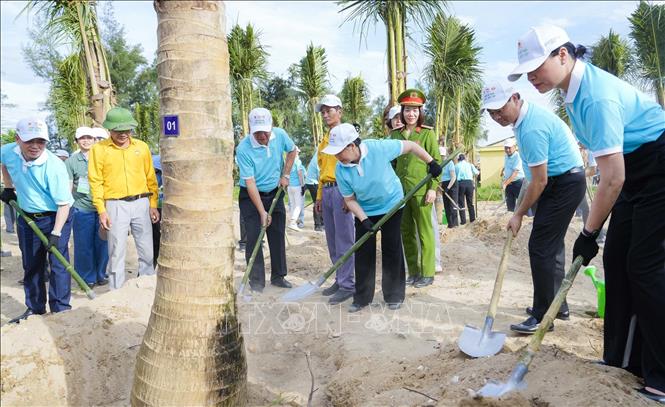 Bà Bùi Thị Minh Hoài Chủ tịch Ủy ban Trung ương MTTQ Việt Nam tham gia trồng cây xanh trên bãi biển Cửa Lò. Ảnh: Trịnh Duy Hưng-TTXVN 