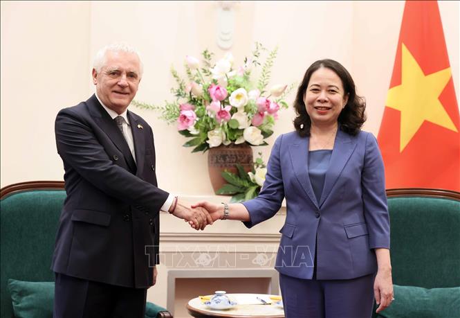 Phó Chủ tịch nước Võ Thị Ánh Xuân tiếp Đại sứ Argentina Marcos Antonio Bednarski đến chào từ biệt. Ảnh: An Đăng - TTXVN
