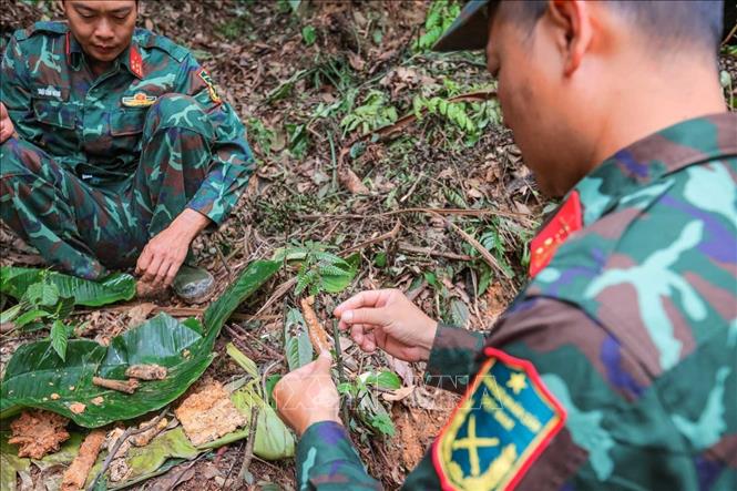 Trung tá Hoàng Vũ Dũng - Đội phó đội tìm kiếm, quy tập hài cốt liệt sĩ Tuyên Quang xem xét cẩn thận mảnh xương nghi là của người tại khu vực nghi có hài cốt liệt sĩ thuộc chiến trường xưa - xã Minh Tân. Ảnh: Hoàng Hiếu - TTXVN