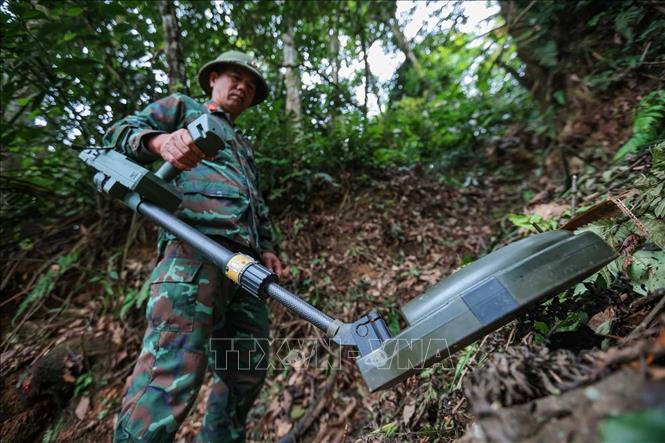Trước khi thành viên Đội tiến hành tìm kiếm tại khu vực nghi có hài cốt liệt sĩ tại xã Minh Tân, Thiếu tá – quân nhân chuyên nghiệp Lê Văn Quyết tiên phong dò mìn, đảm bảo sạch bom, mìn, vật liệu nổ. Ảnh: Hoàng Hiếu - TTXVN