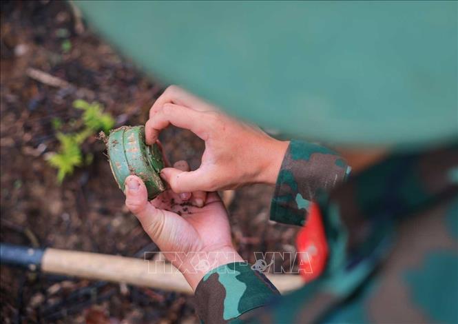 Nhiều loại mìn có cấu tạo chủ yếu bằng vật liệu nhựa, gây khó khăn cho công tác phát hiện, rà phá và xử lý. Ảnh: Hoàng Hiếu - TTXVN