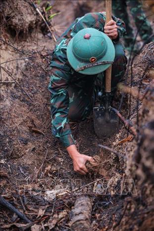 Các thành viên Đội tìm kiếm, quy tập hài cốt liệt sĩ tìm kiếm, xử lý bom mìn, vật liệu nổ còn sót lại, đảm bảo đẩy nhanh tiến độ tìm kiếm nhưng phải tuyệt đối an toàn tại thực địa. Ảnh: Hoàng Hiếu - TTXVN