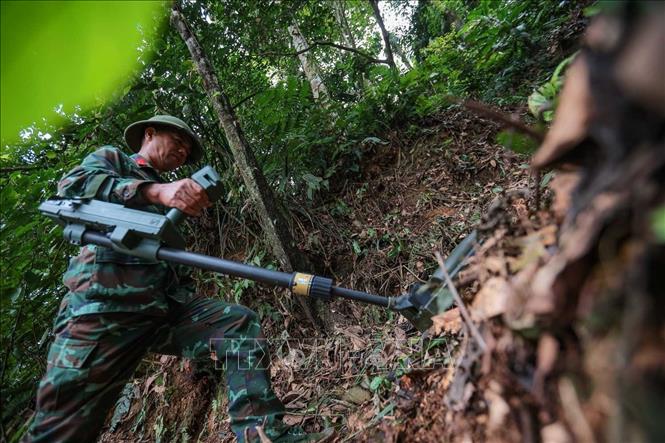 Trước khi thành viên Đội tiến hành tìm kiếm tại khu vực nghi có hài cốt liệt sĩ tại xã Minh Tân, Thiếu tá – quân nhân chuyên nghiệp Lê Văn Quyết tiên phong dò mìn, đảm bảo sạch bom, mìn, vật liệu nổ. Ảnh: Hoàng Hiếu - TTXVN