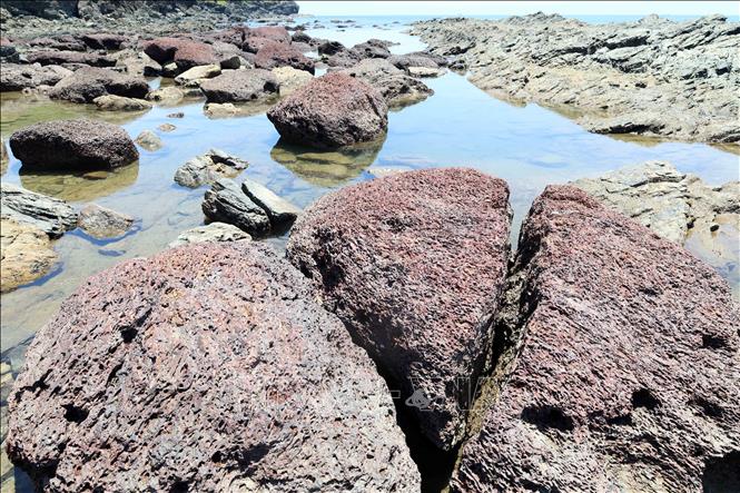 Một bãi đá có màu hồng đặc biệt ở khu vực Bàn Than. Ảnh: Đỗ Trưởng - TTXVN 