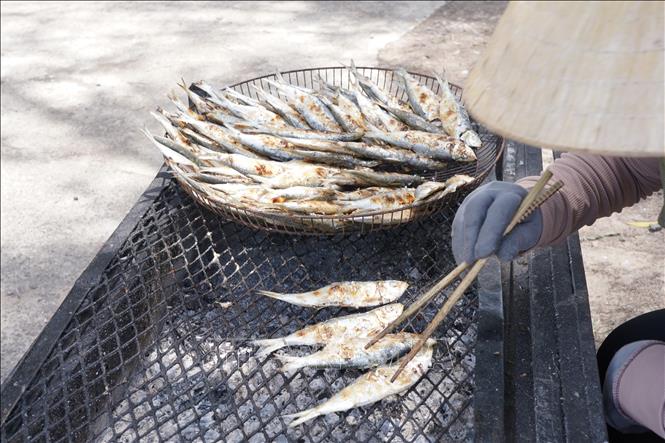 Cá trích tươi sau khi đánh bắt được sơ chế, xếp lên vỉ và nướng bằng than hồng ngay tại bờ biển. Ảnh: Thanh Thuỷ-TTXVN                                             
