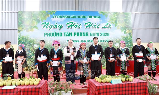 Ban tổ chức trao giải cho các bản tham gia hội thi hái lê. Ảnh: Quý Trung - TTXVN