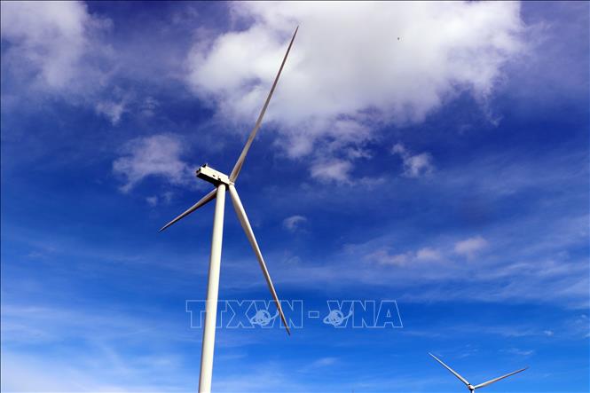 Những cánh quạt điện gió thành hình mang lại niềm tin vào tương lai Bet88 free 100 tỷ lệ trả thưởng cực hấp dẫn sạch và bền vững. Ảnh: Trung Kiên - TTXVN