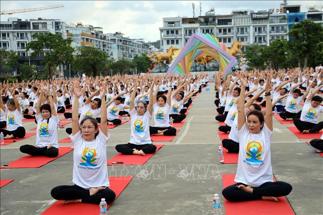 Các Yogi tham gia đồng diễn tại Ngày Quốc tế Yoga tổ chức tại Quảng Ninh. Ảnh: Đức Hiếu - TTXVN