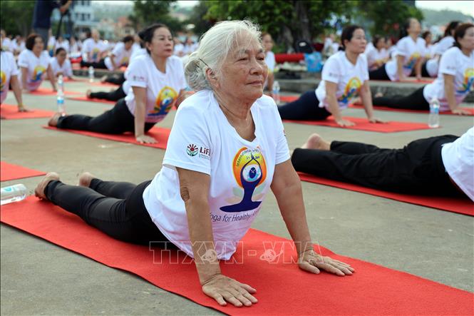 Ngày Quốc tế Yoga tổ chức tại Quảng Ninh có sự tham gia của nhiều Yogi lớn tuổi. Ảnh: Đức Hiếu - TTXVN