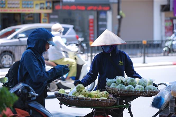 Nền nhiệt cao cùng không khí oi bức khiến việc mưu sinh của người lao động thêm nhọc nhằn. Ảnh: Hoàng Hiếu - TTXVN