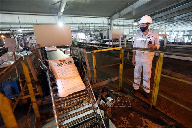 Nhà máy Đạm Cà Mau với công suất khoảng 800.000 tấn/năm, sản phẩm chiếm hơn 60% thị phần tại khu vực Đồng bằng sông Cửu Long và đang phát triển mạnh mẽ tại thị trường Campuchia. Ảnh: Huy Hùng – TTXVN
