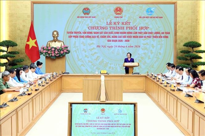 Phó Thủ tướng Phạm Thị Thanh Trà phát biểu chỉ đạo. Ảnh: An Đăng - TTXVN