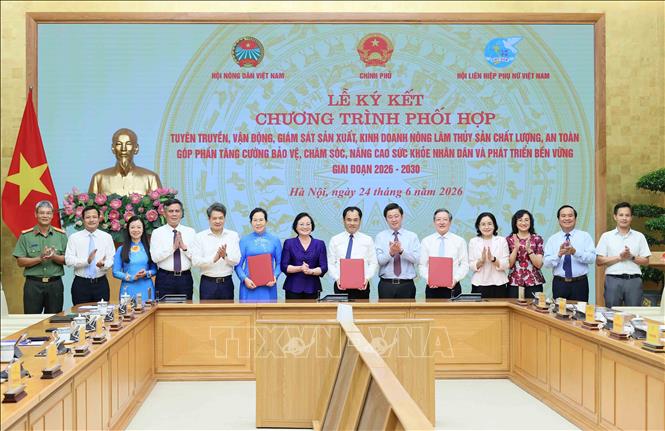 Phó Thủ tướng Phạm Thị Thanh Trà với các đại biểu chứng kiến lễ ký kết. Ảnh: An Đăng - TTXVN