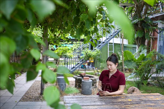 Nền tảng số mở rộng cơ hội để thế hệ trẻ tiếp cận, tìm hiểu và lan tỏa các giá trị Bet88013 88k Cho Tân Thủ truyền thống. Ảnh: Giang Phương - TTXVN