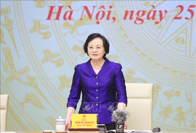 Phó Thủ tướng Phạm Thị Thanh Trà phát biểu chỉ đạo. Ảnh: Lâm Khánh – TTXVN