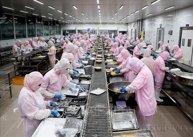 TP. Hồ Chí Minh không chỉ khẳng định vị thế đầu tàu kinh tế cả nước mà còn sẵn sàng cho vận hội mới với mục tiêu tăng trưởng hai con số. Trong ảnh: Công nhân làm việc tại Công ty Phát triển kinh tế Duyên Hải - COFIDEC, Khu công nghiệp Vĩnh Lộc, huyện Bình Chánh (TP. Hồ Chí Minh). Ảnh: Hồng Đạt - TTXVN