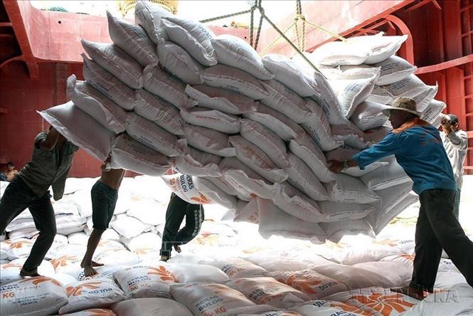 Bốc xếp gạo xuất khẩu sang thị trường Indonesia tại cảng Sài Gòn. Ảnh: Đình Huệ - TTXVN