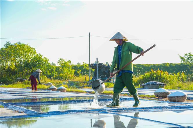 Diêm dân đổ nước lên các ô nại để chuẩn bị cho việc thu hoạch muối vào ngày tiếp theo. Ảnh: Hữu Quyết – TTXVN