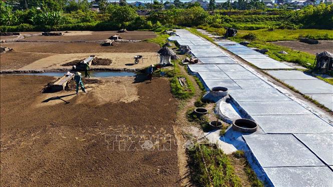 Công đoạn xúc đất mặn để chuẩn bị lọc nước chạt (nước muối đậm đặc từ cát). Ảnh: Hữu Quyết – TTXVN