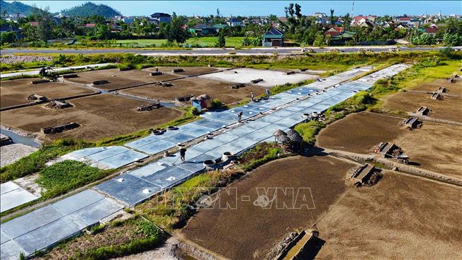 Công việc thu hoạch muối diễn ra khi nắng đạt đỉnh. Ảnh: Hữu Quyết – TTXVN