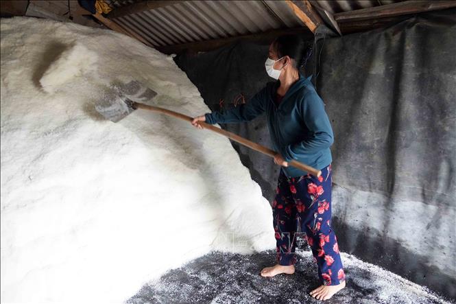 Kho muối của người dân ở thôn Châu Hạ. Ảnh: Hữu Quyết – TTXVN