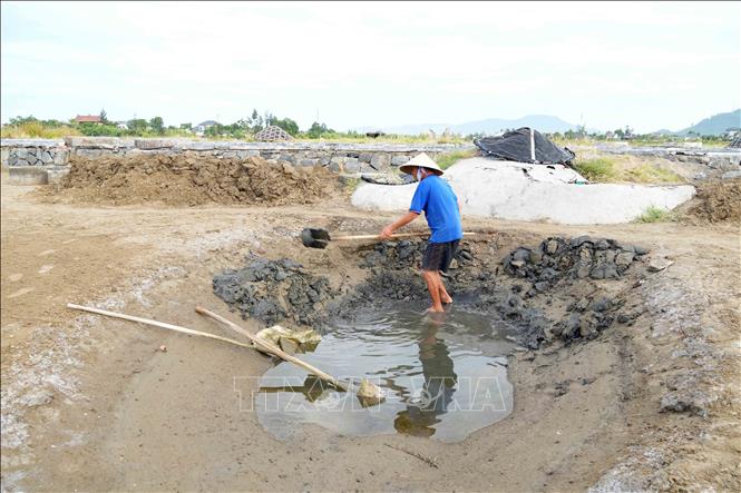 Người dân đào hố để trữ nước mặn dẫn từ biển vào. Ảnh: Hữu Quyết – TTXVN