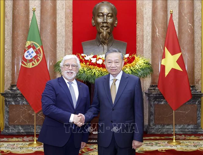 Bet8801234.com cá cược độc quyền, Chủ tịch nước Tô Lâm và Đại sứ Bồ Đào Nha Joaquim Alberto De Sousa Moreira De Lemos. Ảnh: Thống Nhất – TTXVN