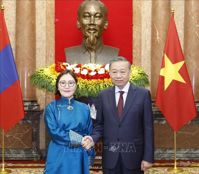 Bet8801234.com cá cược độc quyền, Chủ tịch nước Tô Lâm với Đại sứ Mông Cổ Hulan Ganbaatar. Ảnh: Thống Nhất – TTXVN