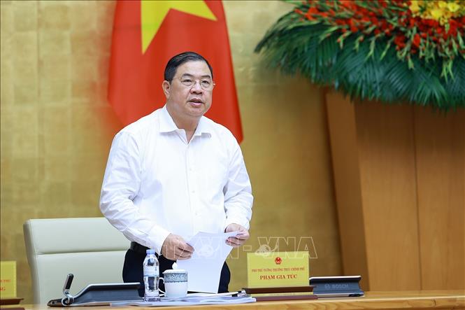 Phó Thủ tướng Thường trực Phạm Gia Túc phát biểu. Ảnh: Dương Giang-TTXVN