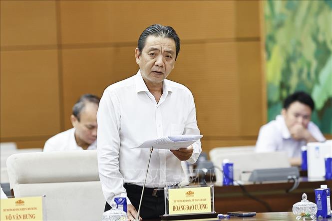 Thứ trưởng Bộ Văn hóa, Thể thao và Du lịch Hoàng Đạo Cương phát biểu. Ảnh: Doãn Tấn - TTXVN