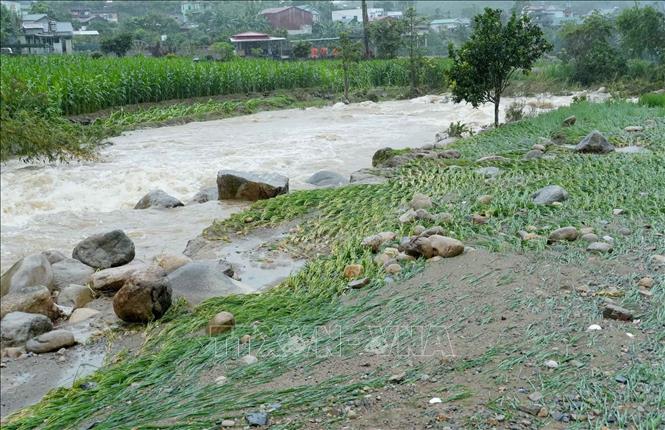 Nước lũ tràn về trong đêm kèm theo đất đá vùi lấp diện tích lúa của người dân tại bản San Thàng, phường Tân Phong tỉnh Lai Châu. Ảnh: Quý Trung – TTXVN