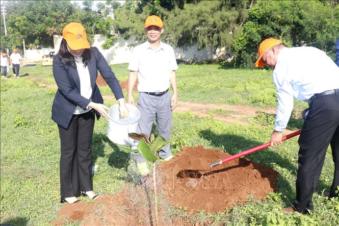 Trồng cây xanh hưởng ứng chương trình phát triển “Du lịch xanh - Vì tương lai bền vững” tại đặc khu Phú Quý (Lâm Đồng). Ảnh: Nguyễn Thanh - TTXVN 