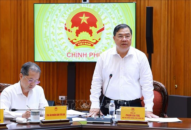 Phó Thủ tướng Thường trực Phạm Gia Túc, Trưởng Ban Chỉ đạo Trung ương tổ chức thi hành án, thu hồi tài sản bị chiếm đoạt, thất thoát trong các vụ án phát biểu. Ảnh: Dương Giang - TTXVN