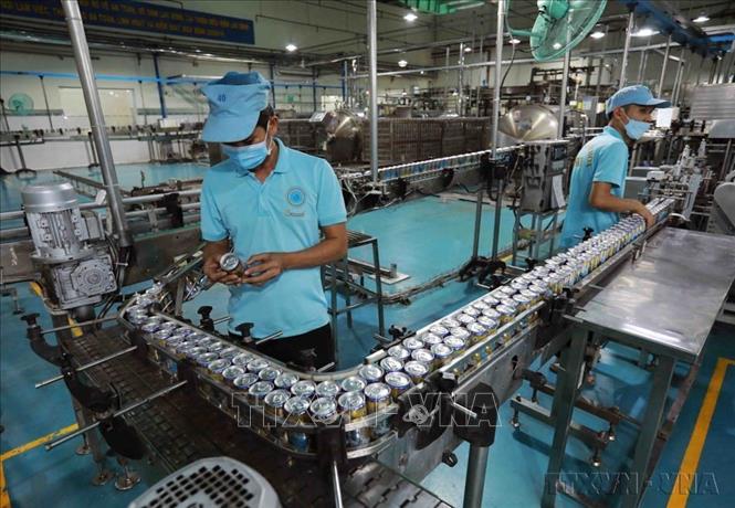 Sản phẩm của Công ty Yến sào Khánh Hoà  (thành phố Nha Trang, tỉnh Khánh Hoà) phục vụ thị trường trong nước và xuất khẩu sang thị trường Philippines, Myanmar, Đài Loan, Singapore, Malaysia.... Ảnh: Vũ Sinh - TTXVN