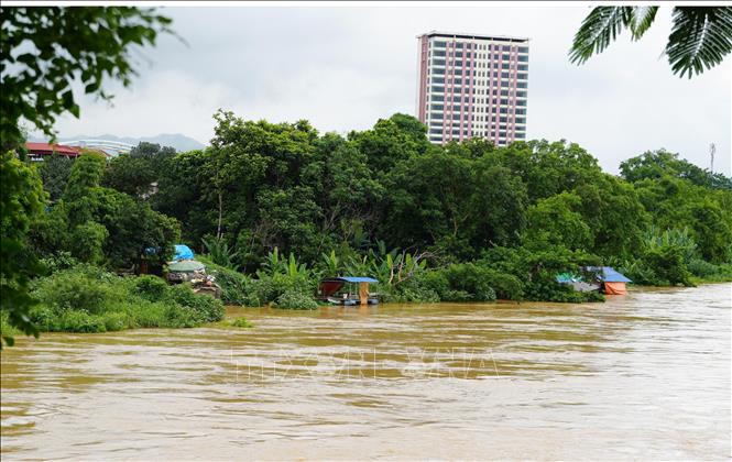 Nước sông Cầu tại khu vực Gia Bảy, trung tâm tỉnh Thái Nguyên sáng 10/7/2026. Ảnh: Hoàng Nguyên - TTXVN